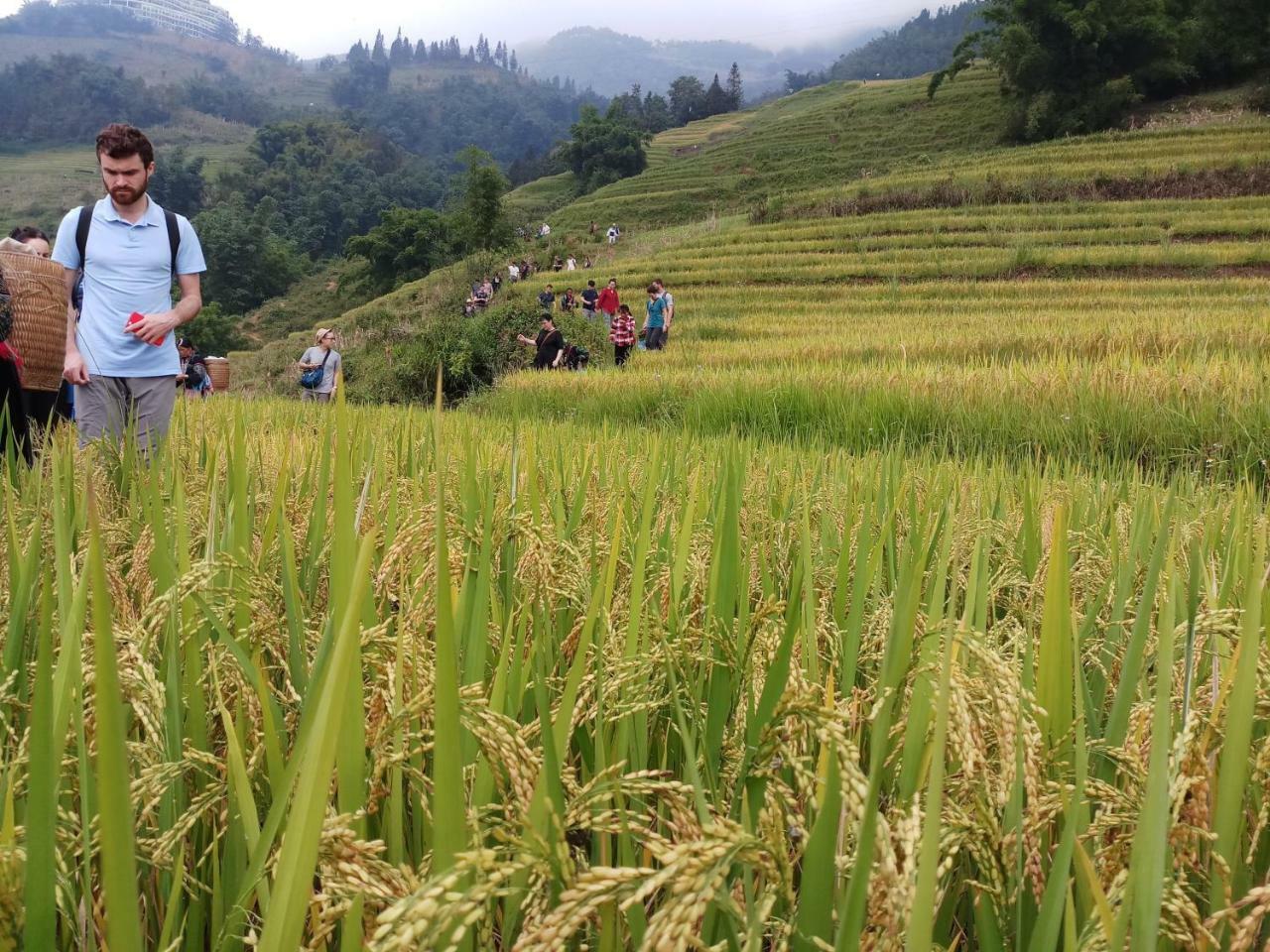 Tuongmai Home & Trekking Tour Sa Pa Extérieur photo