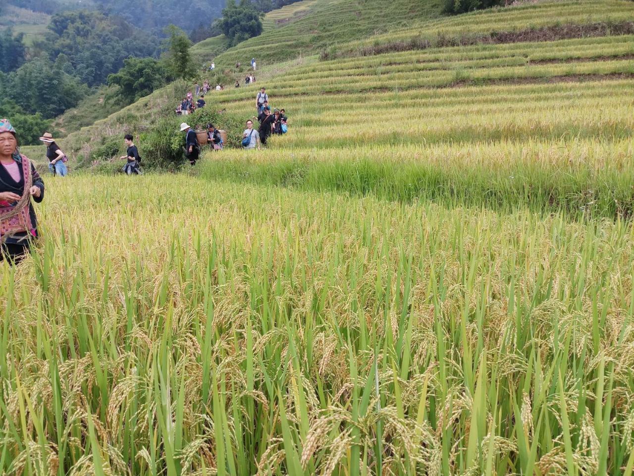 Tuongmai Home & Trekking Tour Sa Pa Extérieur photo